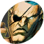 Sagat.png