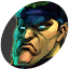 Bison.png